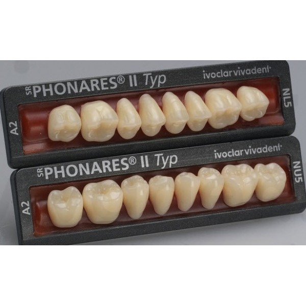 Dientes Phonares II Posterior 8 pzas*